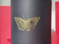 IMG_20231010_133336