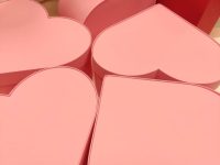IMG_20240213_092259
