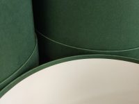 IMG_20241116_122633_1