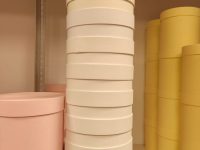IMG_20250327_103002
